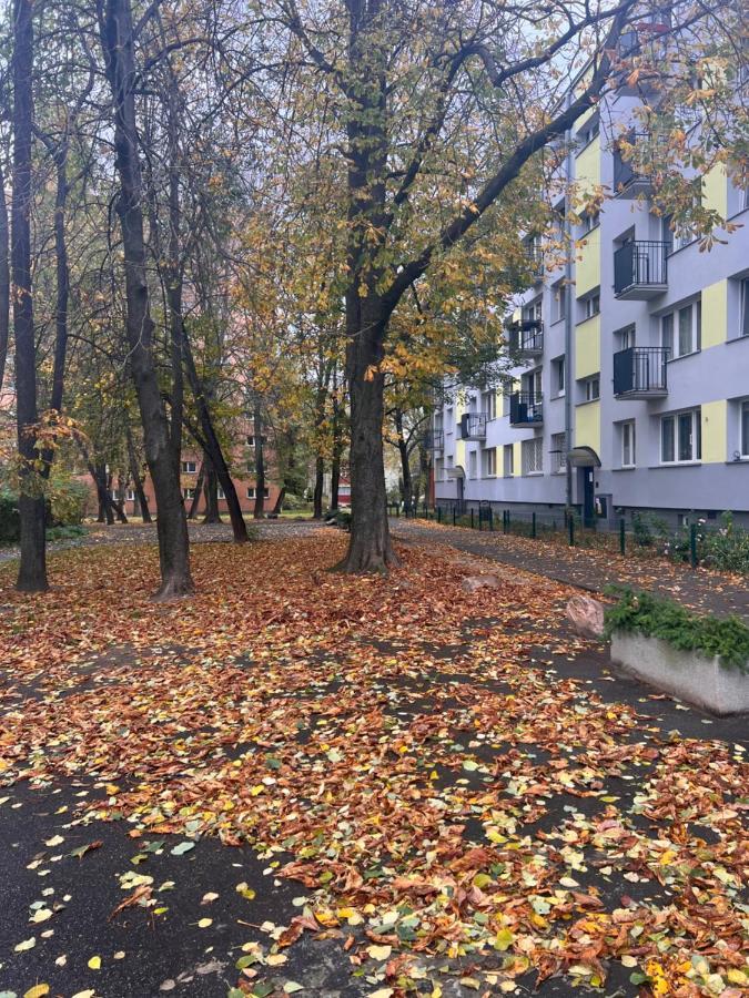 Yellow Apartment Airport Galeria Mokotow Netflix Varsovia Exterior foto